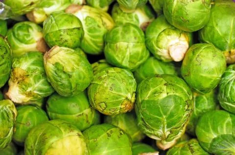 Brussels sprouts. Foto stock