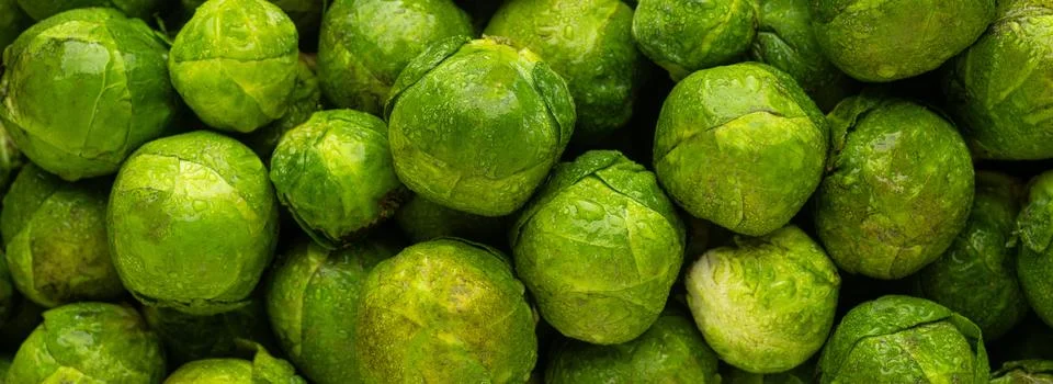 Brussels Sprouts Stock Photos