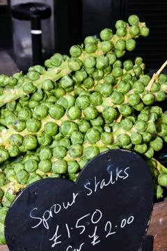 The Brussels sprouts stalk Stock Photos