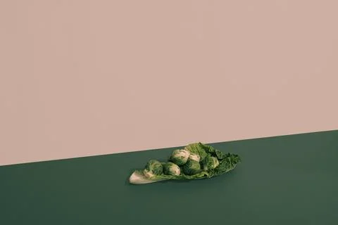 Brussels sprouts on the table. Stock Photos