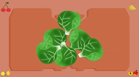 Brussels Sprouts  - Vector Graphics - Food Animation - board Stock Footage 61276915