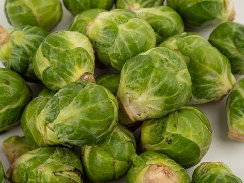 Brussels sprouts on a white background. Stock Photos