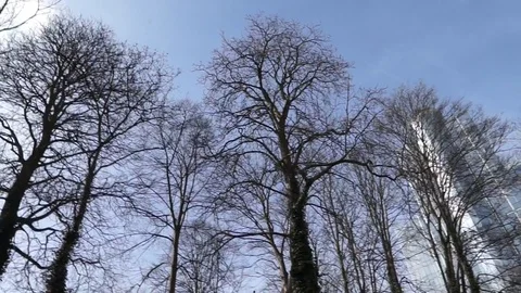 Brussels,Belgium - 03/20/2017 Stock Footage 96199281