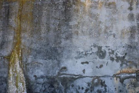 Brut Wall Texture. Stock Photos