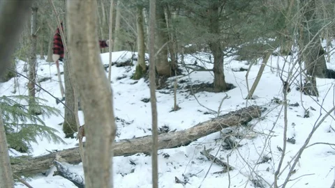 Brutal lumberjack walks through the winter forest Stock Footage 123528265