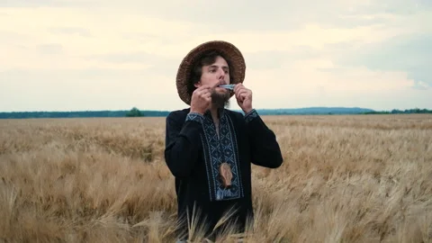 A brutal man with a beard and a straw hat in wheat plays an ancient instrument Video stock 136823456