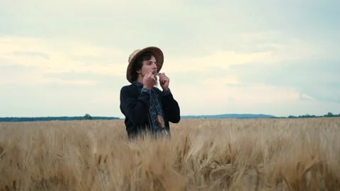 A brutal man with a beard and a straw hat in wheat plays an ancient instrument Video stock 136831932