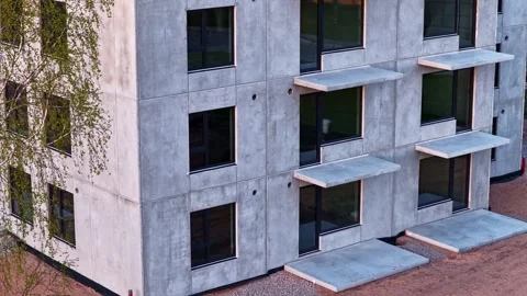 Brutalist architecture building with concrete facade and birch tree during Stock Footage 337791069