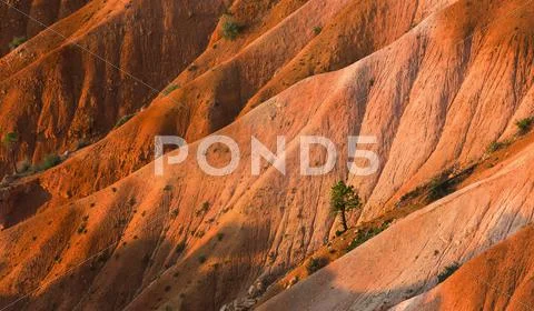 Bryce Amphitheater Stock Photos