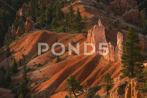 Bryce Amphitheater Stock Photos