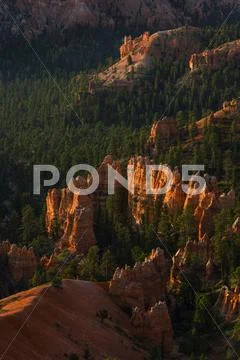 Bryce Amphitheater Stock Photos