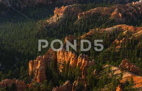 Bryce Amphitheater Stock Photos