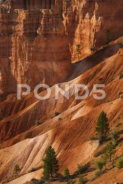 Bryce Amphitheater Stock Photos