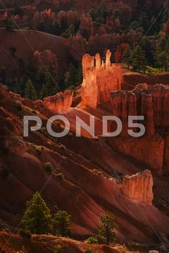 Bryce Amphitheater Stock Photos