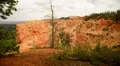Bryce Canyon Dolly LM14 Black Birch Canyon HD Footage