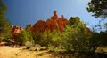 Bryce Canyon Dolly LM28 Red Canyon Hoodoos HD Footage
