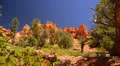 Bryce Canyon Dolly LM38 Red Canyon Hoodoos HD Footage