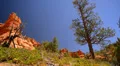 Bryce Canyon Dolly LM43 Red Canyon Hoodoos HD Footage