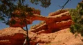 Bryce Canyon Dolly LM44 Red Canyon Arch Rock HD Footage