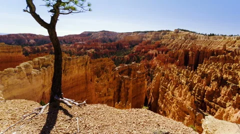 Bryce canyon 動画素材 49445143