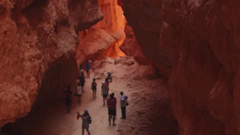 Bryce Canyon Stock Footage 149304872