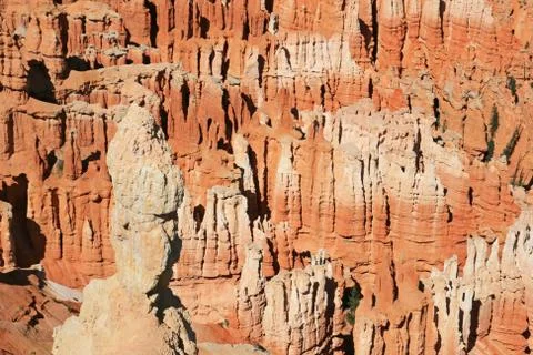Bryce canyon hoodoo background Stock Photos