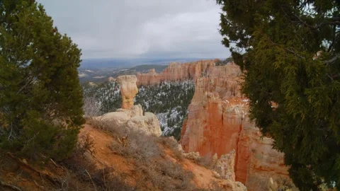 Bryce Canyon Hoodoos framed by Juniper trees Stock Footage 268050076