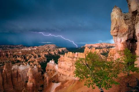 Bryce Canyon Lightning Stock Photos