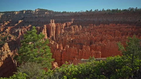 Bryce Canyon NP. Green tree in the foreground and red hoodoos at Sunset Point Stock Footage 208959870