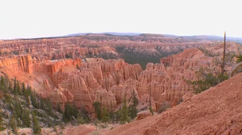 Bryce Canyon overlook Stock Footage 8537624