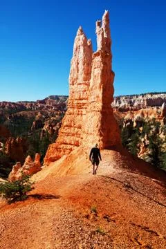 Bryce canyon Stock Photos