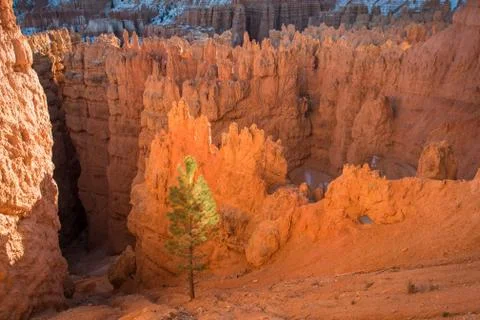 Bryce canyon Stock Photos