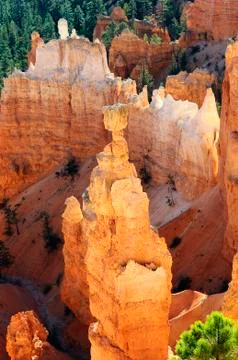 Bryce canyon Stock Photos