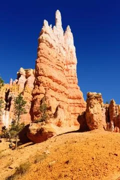 Bryce canyon Stock Photos
