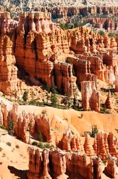 Bryce canyon Stock Photos