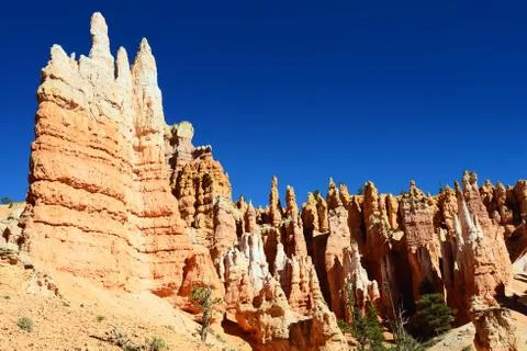 Bryce canyon Stock Photos