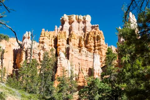 Bryce canyon Stock Photos