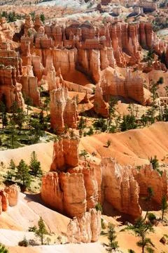 Bryce canyon Stock Photos