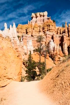 Bryce canyon Stock Photos