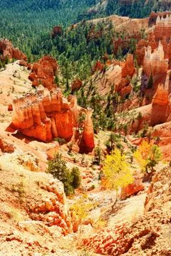 Bryce canyon Stock Photos