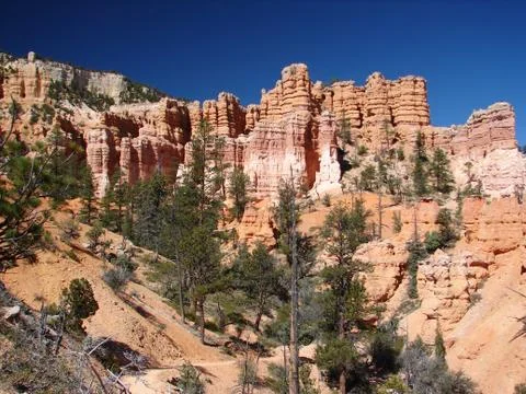 Bryce canyon 스톡 사진