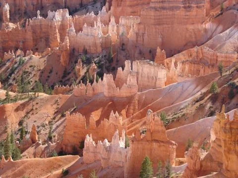 Bryce canyon 스톡 사진