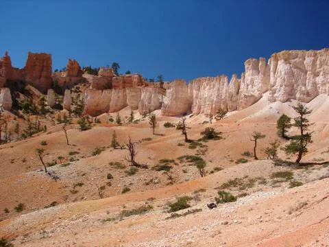 Bryce canyon Stock Photos