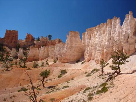 Bryce canyon Stock Photos