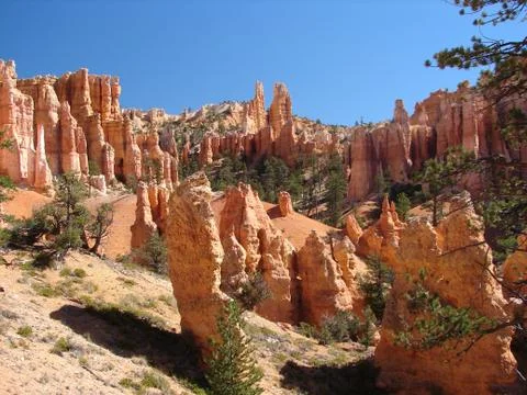 Bryce canyon 스톡 사진