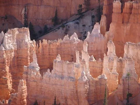 Bryce canyon 스톡 사진