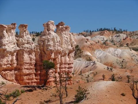 Bryce canyon Stock Photos