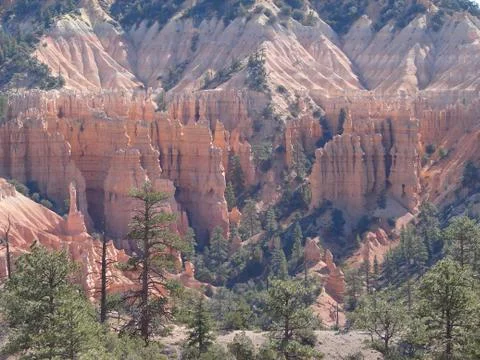 Bryce canyon 스톡 사진