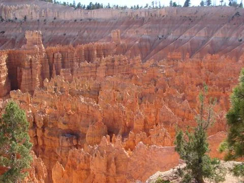 Bryce canyon 스톡 사진