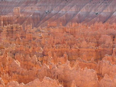Bryce canyon 스톡 사진